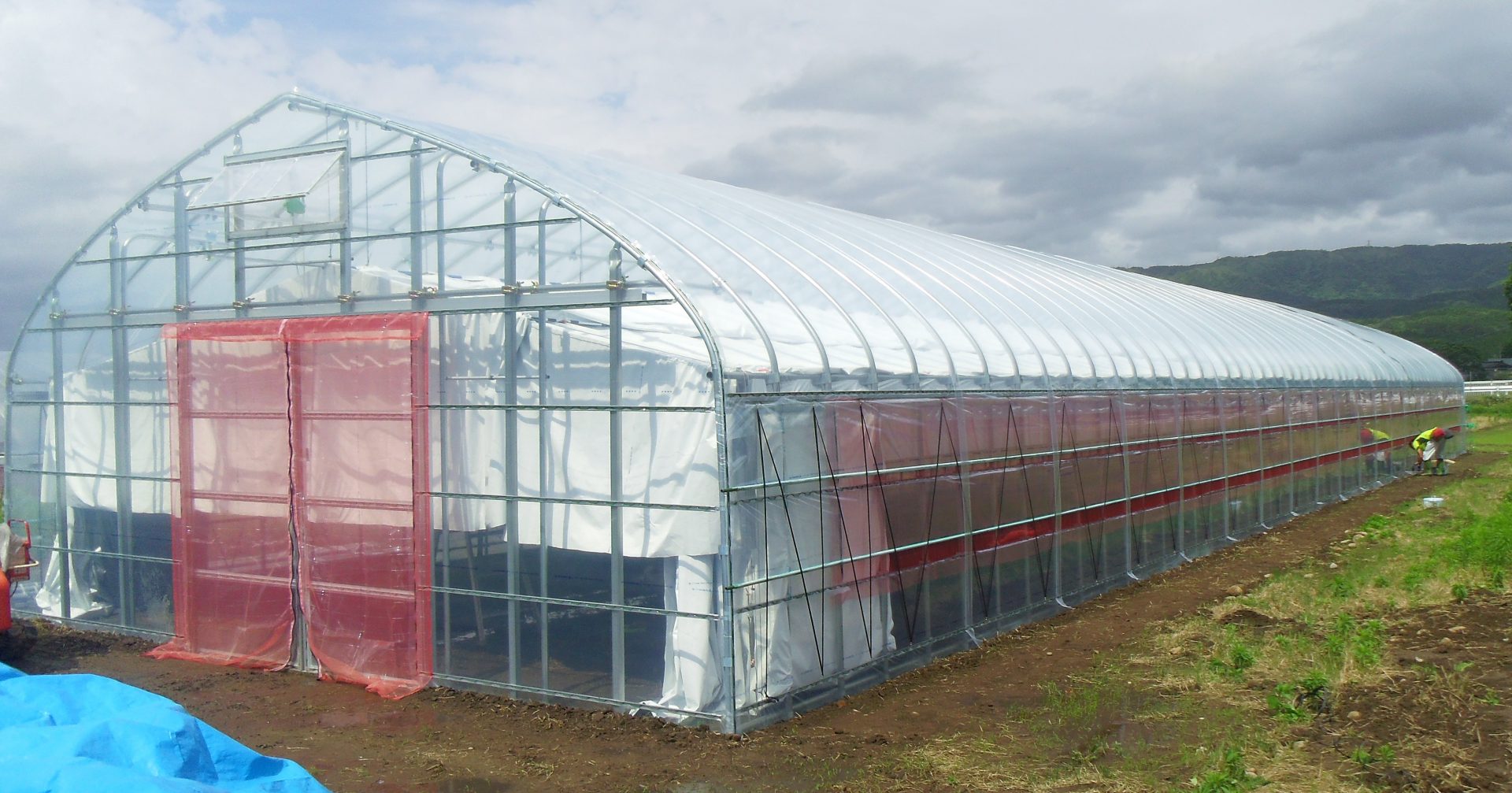 パイプハウス写真