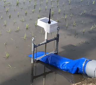 水田ファーモ写真