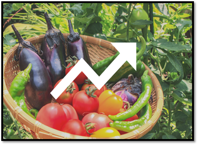 収量・品質の向上イメージ