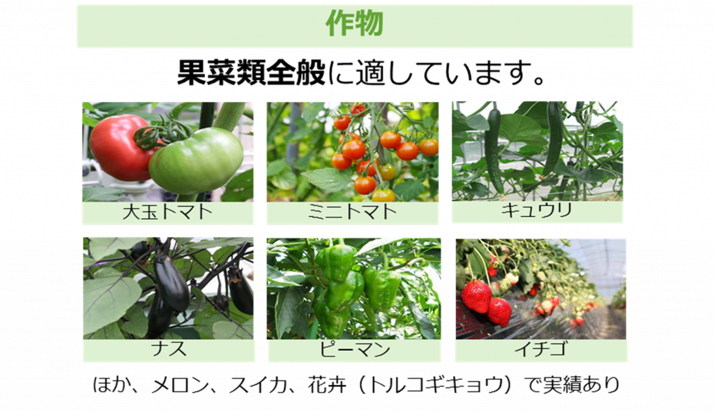 作物 果菜類全般に適しています。 大玉トマト ミニトマト キュウリ ナス ピーマン イチゴ ほか、メロン、スイカ、花卉(トルコギキョウ)で実績あり